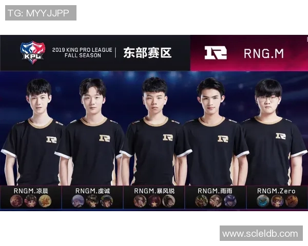 深入探讨RNG在王者荣耀中的实力与战术解析